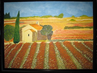 220 Vignes en Provence.JPG